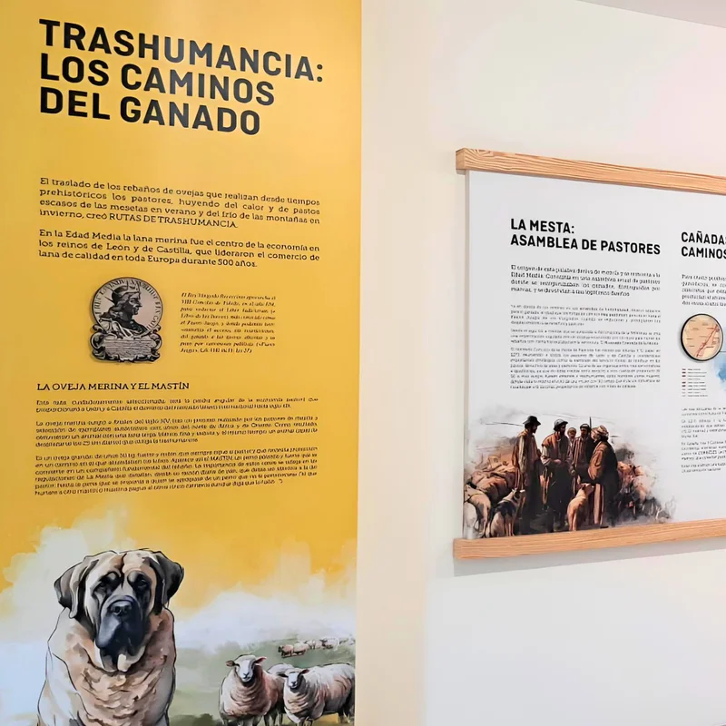 La trashumancia - Los caminos del ganado