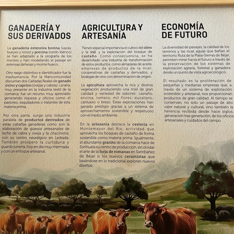 Economía tradicional